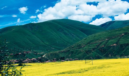呼伦贝尔大草原旅游景点完全攻略：必去景区、最佳路线、包车价格全解析
