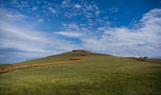 哈尔滨去呼伦贝尔大草原旅游攻略：最佳路线、包车费用、最佳季节一站式指南