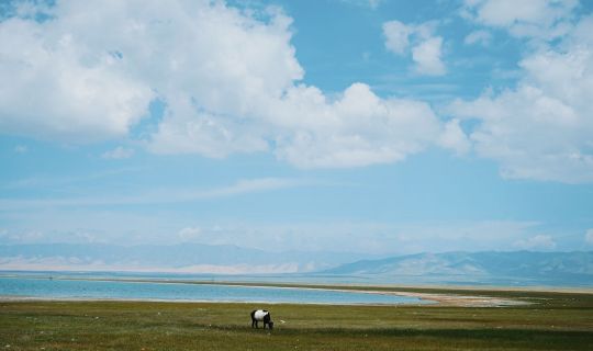 呼伦贝尔大草原最佳旅游时间是几月？四季游玩攻略对比