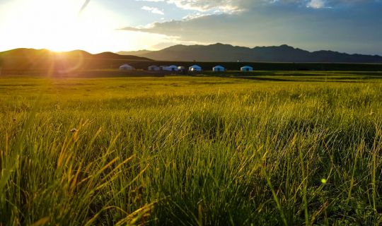 呼伦贝尔旅游局官方推荐：草原旅游包车服务商排名与预订指南
