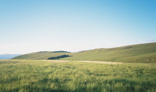 武汉到呼伦贝尔旅游攻略：最全交通路线、景点推荐、包车拼车方案