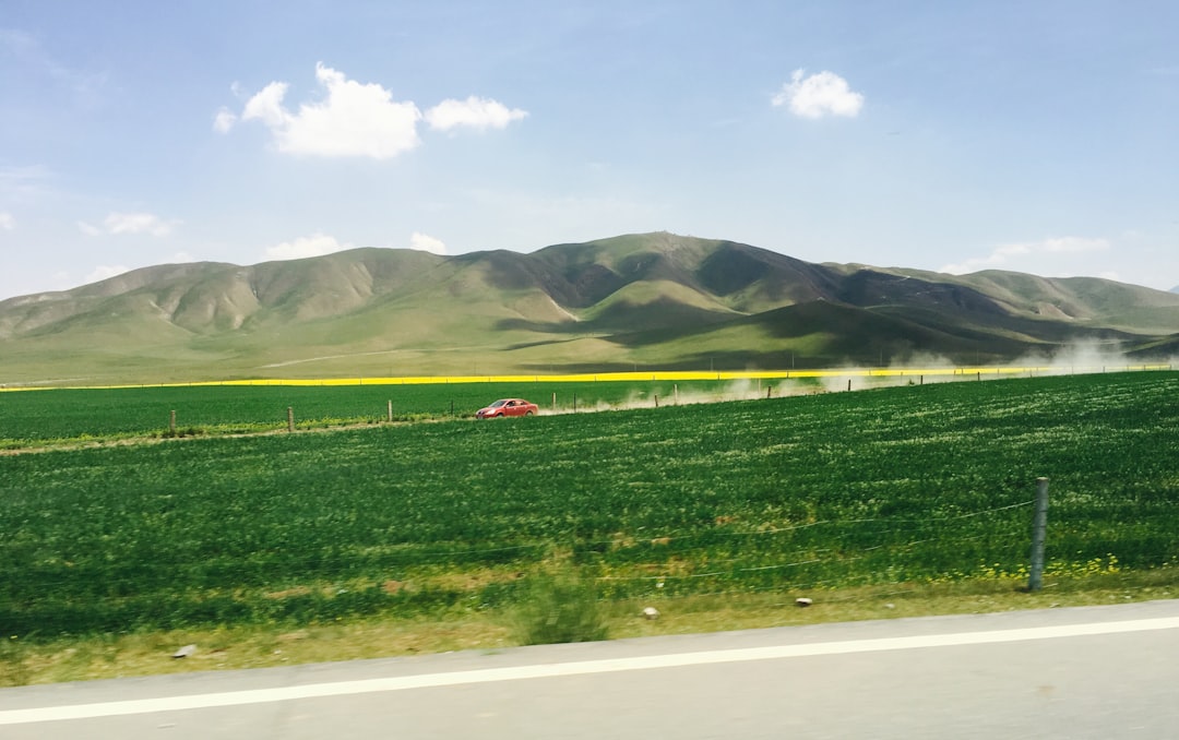 呼伦贝尔草原最佳旅游时间是几月？四季风景对比及包车游玩攻略