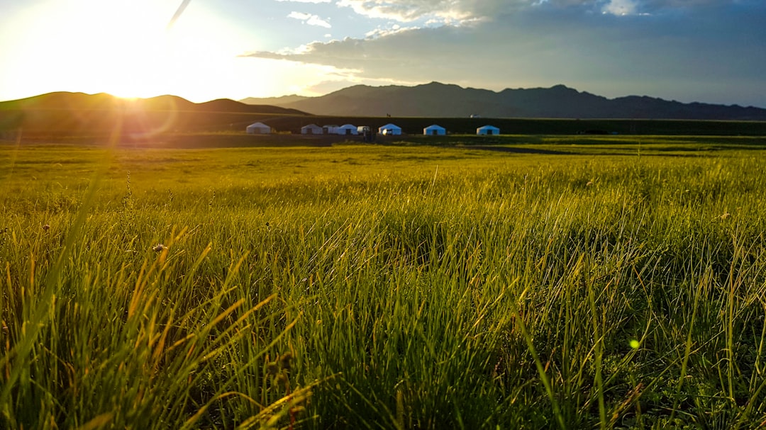 7月呼伦贝尔旅游攻略：最佳景点路线、天气穿衣、包车费用全指南